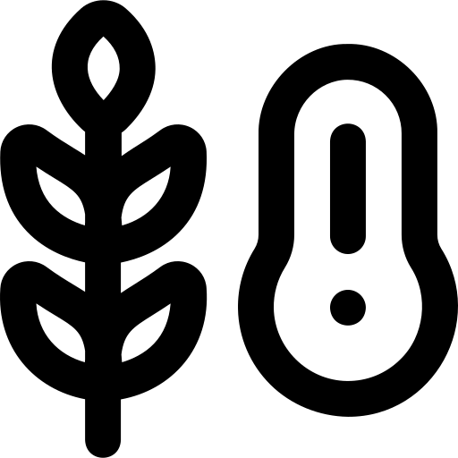 Karbonhidrat ikonu